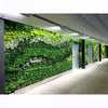 Image of Green living wall in an indoor setting with a modern architectural background