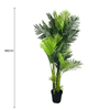Image of Multi Trunk Hawaii Palm 180cm Dimensions