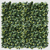 Image of Artificial laurel leaf hedge panel on a white background