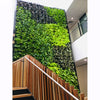 Image of Green wall with wooden staircase and railing in an indoor setting