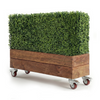 Image of Artificial Mixed Boxwood Freestanding Hedge 50cm x 1m x 30cm