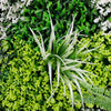 Image of Close up view of the forest floor panel greenery with a focus on a single leaf