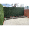 Image of Artificial Buxus Hedge 2x1m Freestanding UV Stabilised