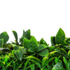 Image of Artificial Red Tropics Vertical Garden Panel Leaves Close Up View