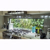 Image of Modern kitchen with gas stove and window view of greenery wall