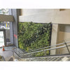 Image of Living green wall in an indoor setting with a staircase and glass railing.