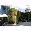 Image of Green wall in an urban setting with buildings and people in the background