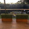 Image of Artificial Natural Buxus Freestanding Hedge 50cm x 1m x 30cm