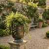 Image of Saphire french anduze urn on a pillar in a beautiful european garden