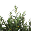 Image of Artificial Bushy Olive Tree With Fruit 180cm