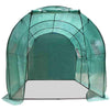 Image of 3m x 2m Walk In Greenhouse