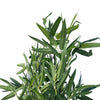 Image of Artificial Black Bamboo Tree With Real Touch Leaves - 180cm