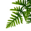 Image of Artificial Bushy Fern Stem 60cm UV Stabilised