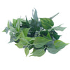 Image of Artificial Camelia Bush Stem 45cm UV Stabilised
