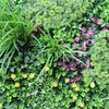 Image of Close Up View Of Grasses, Flowers and Purple Leaves of the Artificial Country Fern Recycled Vertical Garden Panel