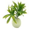 Image of Artificial Dracaena (Yucca) Stem UV Stabilised