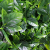 Image of close up of the leaves on the Artificial Green Meadows 1m x 1m Plant Wall Panel UV Stabilised