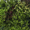 Image of Artificial Green Wall Disc Art 80cm Green Field UV Resistant - Black