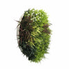 Image of Artificial Green Wall Disc Art 80cm Green Field UV Resistant - White