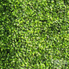 Image of Artificial Mixed Boxwood Freestanding Hedge 1m x 50cm x 30cm UV Stabilised