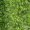 Image of Artificial Mixed Boxwood Freestanding Hedge 2m x 1m x 30cm UV Stabilised