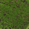Image of Close up of the Artificial Moss Wall Covering Screen 200cm x 50cm