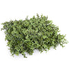 Image of Artificial Natural Buxus Freestanding Hedge 1m x 55cm x 30cm UV Stabilised