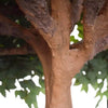 Image of Giant Artificial Ficus Tree (3m To 5m)