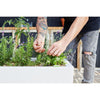 Image of Glowpear Large Self Watering Cafe Planter