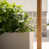 Image of Glowpear Mini Bench Self Watering Vertical Garden Planter Box