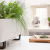 Image of Glowpear Mini Bench Self Watering Vertical Garden Planter Box