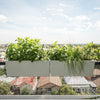 Image of Glowpear Mini Rail Self Watering Balcony Railing Planter Box