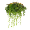 Image of Hanging Gold Disc With Artificial UV Stabilised Foliage 80cm
