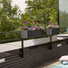 Image of Lechuza BALCONERA Stone 50