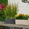 Image of Lechuza BALCONERA Stone 50