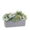 Image of Lechuza BALCONERA Stone 50