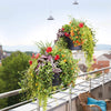 Image of Lechuza Cascadino 36cm Self Watering Hanging Planter