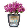 Image of Lechuza Classico Colour 28 Self Watering Pot - 28cm