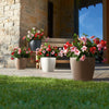 Image of Lechuza Classico Colour 28 Self Watering Pot - 28cm