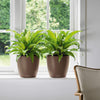 Image of Lechuza Classico Colour 35cm Self Watering Pot - 35cm