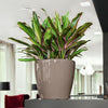 Image of Lechuza Classico LS 21 Self Watering Pot - 21cm