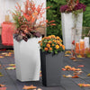 Image of Lechuza Cubico 30 Self Watering Pot - 30cm