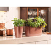 Image of Lechuza Delta 20 Self Watering Table Planter