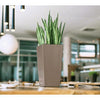 Image of Lechuza Maxi Cubi Self Watering Pot