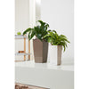 Image of Lechuza Maxi Cubi Self Watering Pot