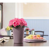Image of Lechuza Mini Deltini Self Watering Pot