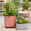 Image of Lechuza PILA Stick Planter
