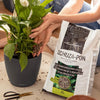 Image of Lechuza PON Plant Substrate