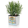 Image of Lechuza PURO CUBE Color Triple Wall Planter Kit