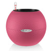 Image of Lechuza Puro 20 Diameter Self Watering Pot - 20cm